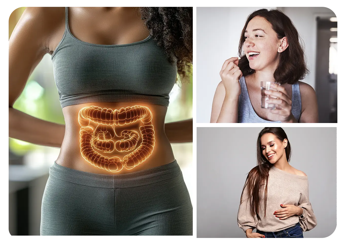 gut health solutions